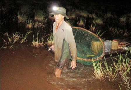 Ông Tuấn bắt đầu công việc xúc lươn từ 1 giờ sáng