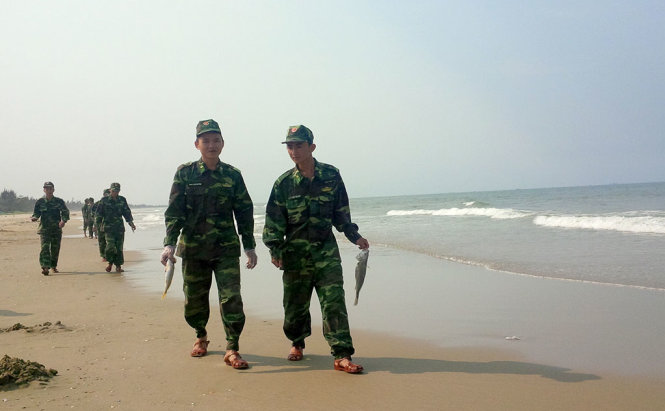 Xuất hiện cá chết trở lại, ngư dân vớt bán cho thương lái 