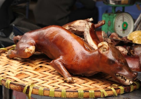 phở, bún, thịt-chuột, tiết-canh, nem, thịt-chó, tây, đăc-sản, trứng-vịt-lộn,
