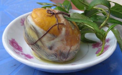 phở, bún, thịt-chuột, tiết-canh, nem, thịt-chó, tây, đăc-sản, trứng-vịt-lộn,