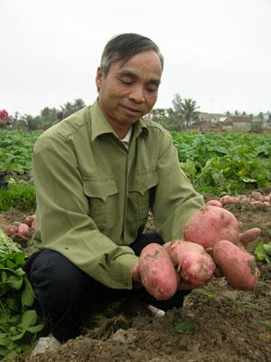 Niềm vui được mùa
