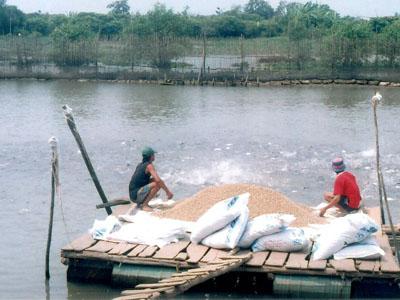 Thức ăn đổ xuống ao nuôi liệu có biến thành lợi nhuận cho nông dân hay chạy vào túi nhà SX thức ăn?
