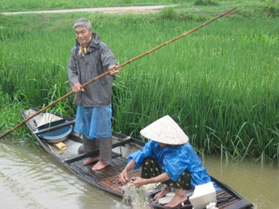 Ngoài 70 tuổi nhưng ngày ngày hai vợ chồng ông Lê Đình Diệp vẫn phải chài lưới kiếm sống