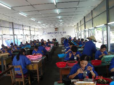 Quang cảnh phòng cấy ngọc trai