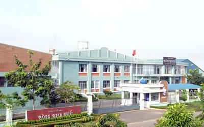 Bông Bạch Tuyêt đi vào lịch sử chứng khoán Việt Nam với vai trò mã đầu tiên bị ngừng giao dịch do lỗ hai năm liên tiếp