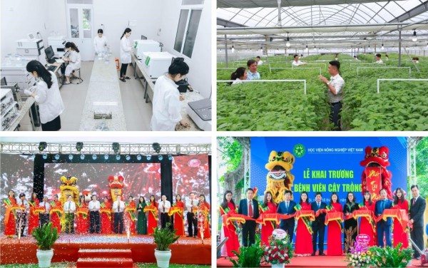 Đảng ủy chỉ đạo Học viện xây dựng các mô hình khoa học và công nghệ phục vụ công tác đào tạo, nghiên cứu khoa học. Ảnh: HVNN.