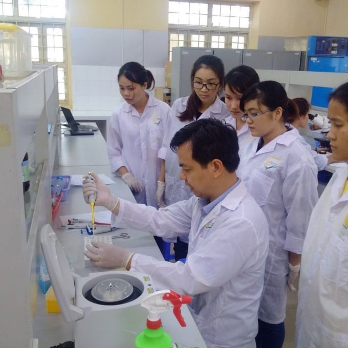Một tiết học thực hành phân lập nấm hại cây trồng của sinh viên ngành Bảo vệ thực vật. Ảnh: HVNN