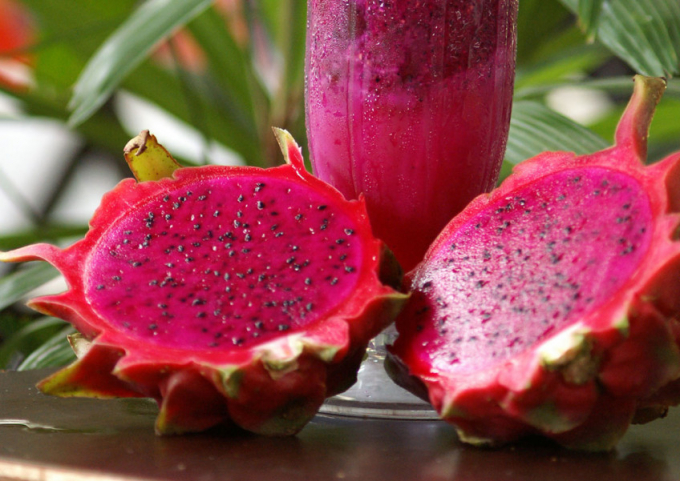 Dragon fruit is one of Vietnam’s key fruits exported to Thailand.