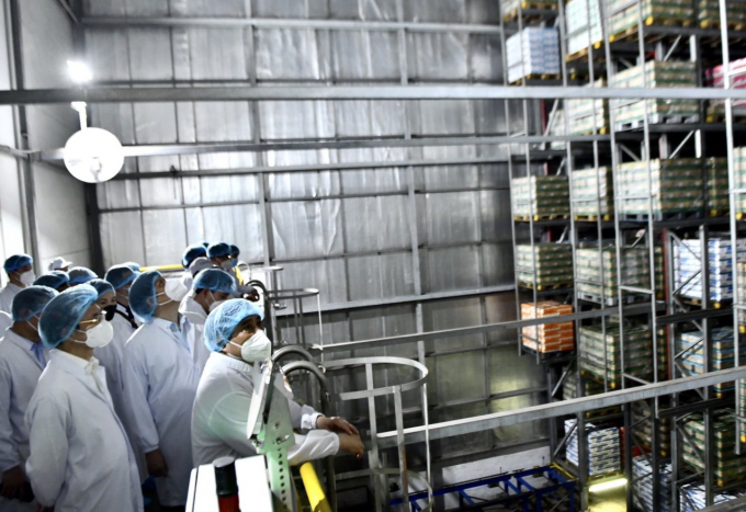 Through the Company's activities, agricultural products are processed, promoting industrialization and modernization, improving the lives of farmers and workers, contributing to the improvement of Vietnamese's health and stature.