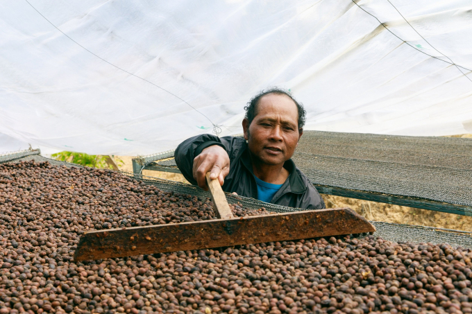 GCP promotes increasing demand and supply of sustainable coffee from diverse origins as one important way to scale positive impact for coffee farmers, workers and their environment.