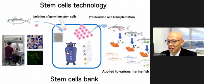Mr. Ohta Kohei, Faculty of Agriculture - Kyushu University, shared about research on stem cell technology for saba fish. Photo: Hoang Giang.