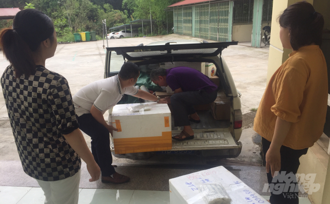 Chi cục Trồng trọt và Chăn nuôi tỉnh Cao Bằng cấp vacxin bệnh viêm da nổi cục cho các địa phương. Ảnh: C.H.
