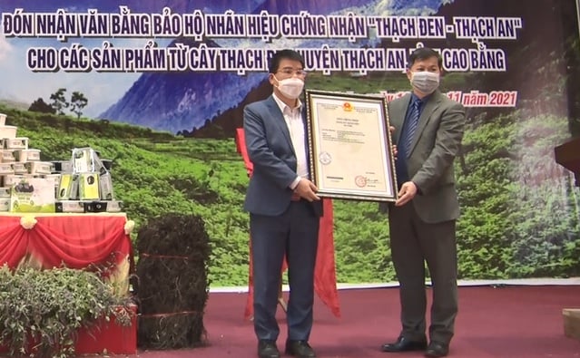 Lãnh đạo Viện Khoa học Sở hữu trí tuệ trao Giấy chứng nhận Văn bằng bảo hộ nhãn hiệu Thạch đen - Thạch An cho lãnh đạo huyện Thạch An. Ảnh: T.L.