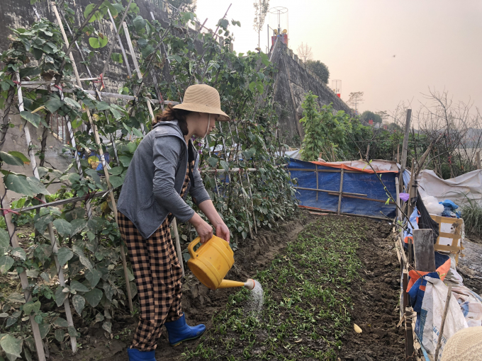 img_3259-182804_854.jpg Người dân trồng rau bên bãi bồi sông Hồng dễ dàng nhận ra sự thay đổi của dòng sông. Ảnh: H.Đ