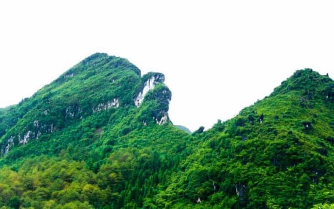 nui-ham-rong-171548_855.jpg Núi Hàm Rồng (Sa Pa). Ảnh: A.K