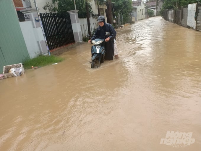 z2204995250045_9deef5ffc8c735a8c8aeb6bc82fbca49-082625_930.jpg Ghi nhận thiệt hại đến sáng 1/12, tỉnh Khánh Hòa có 1 người chết do tai nạn điện giật. Ảnh: Kim Sơ.