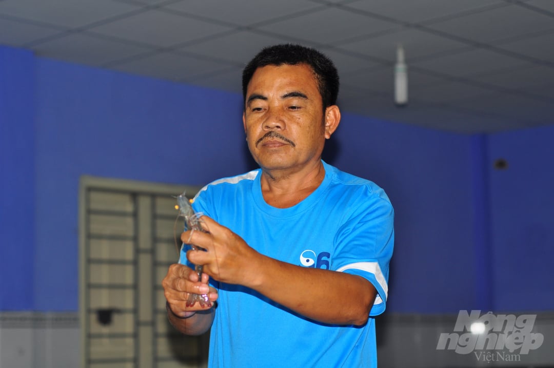 thi-truong-dieu-chinh-giam-thieu-kho-khan-o-thu-phu-san-xuat-tom-giong-093259_20210730_520.jpg Do dịch bệnh Covid-19, việc vận chuyển và các dịch vụ phụ trợ bị gián đoạn làm ảnh hưởng đến sản xuất tôm giống. Ảnh: Minh Hậu.