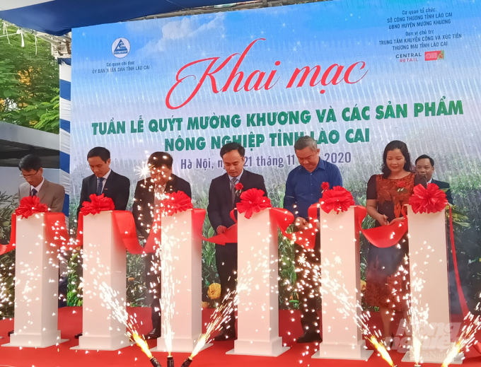 Lễ cắt băng khai mạc Tuần lễ quýt Mường Khương và các sản phẩm nông nghiệp tỉnh Lào Cai. Ảnh: LyLy.
