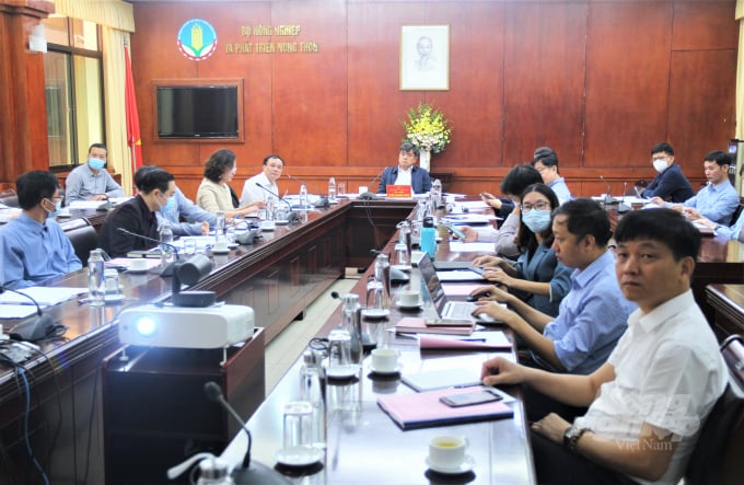 Hội nghị tham vấn nội dung Đề án thí điểm xây dựng vùng nguyên liệu nông, lâm sản đạt chuẩn phục vụ tiêu thụ trong nước và xuất khẩu giai đoạn 2021-2025. Ảnh: Phạm Hiếu.