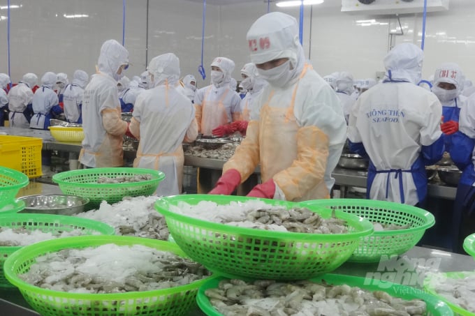 Hiện nay nguồn cung không đứt gãy hoàn toàn mà chỉ bị giảm sụt và hoàn toàn có khả năng tăng trưởng trở lại trong thời gian tới. Ảnh: Thanh Sơn.