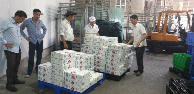 Trước đó, lô vải thiều tươi đầu tiên Việt Nam xuất khẩu sang Nhật Bản bằng đường hàng không đã bán hết ngay trong ngày đâu tiên giới thiệu tới người tiêu dùng Nhật. Ảnh: Ppd.