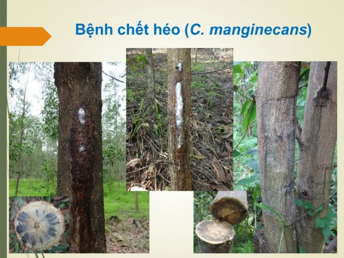 slide2-124206_951.jpg