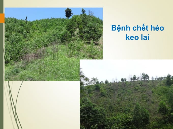 slide4-124351_722.jpg