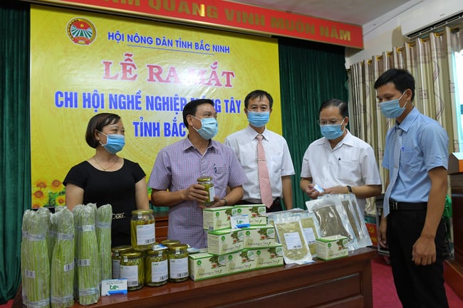 Tính đến nay, tỉnh Bắc Ninh đã thành lập 3 Chi hội Nông dân nghề nghiệp và 32 Tổ Hội Nông dân nghề nghiệp. Ảnh: Khương Lực.