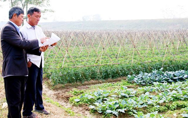 ntm-huye-n-ye-n-phong-ba-c-nin-5224-6648-1598518075_860x0-150446_175.jpg Yên Phong sẽ là huyện cuối cùng của tỉnh Bắc Ninh được công nhận huyện nông thôn mới. Ảnh: Hưng Nguyên.