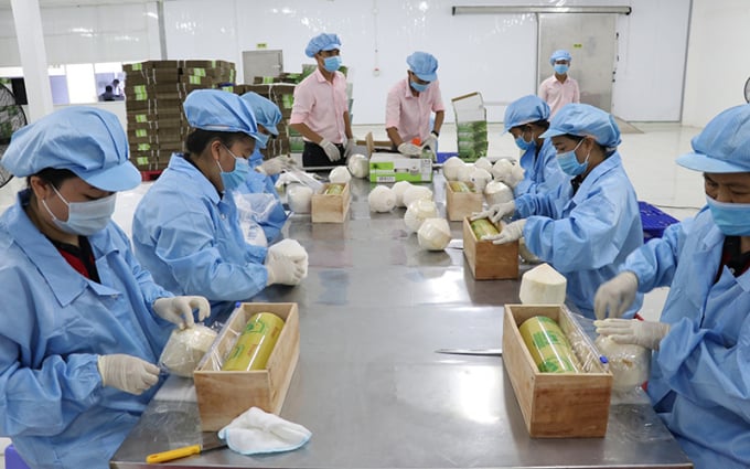 Bộ NN-PTNT đề nghị các Hội, Hiệp hội, doanh nghiệp, cơ sở xuấn xuất, chế biến kiên trì và cương quyết thực hiện mục tiêu kép vừa phòng, chống dịch bệnh, vừa phát triển kinh tế xã hội, coi sức khỏe, tính mạng con người là trên hết, trước hết. Ảnh: Phúc Hậu.