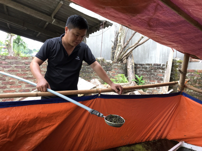 z2613797592752_44159983e79cf4e1296844694546b16d-150528_5.jpg Anh Nguyễn Văn Sáu chăm sóc ốc tại cánh đồng Nà Đao, thôn Bản Cáu, xã Đồng Thắng, huyện Chợ Đồn, tỉnh Bắc Kạn. Ảnh: Tâm Tình.