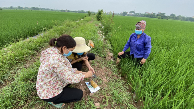 z2989991165668_077f0729496128221ef6829e9f8a02ca-175557_335.jpg Cán bộ bảo vệ thực vật Hà Nội hướng dẫn kỹ thuật bẫy chuột bán nguyệt cho bà con nông dân. Ảnh. NH.
