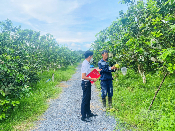 Cán bộ tín dụng Agribank trực tiếp kiểm tra việc sử dụng vốn vay của khách hàng trên thực địa đầu tư
