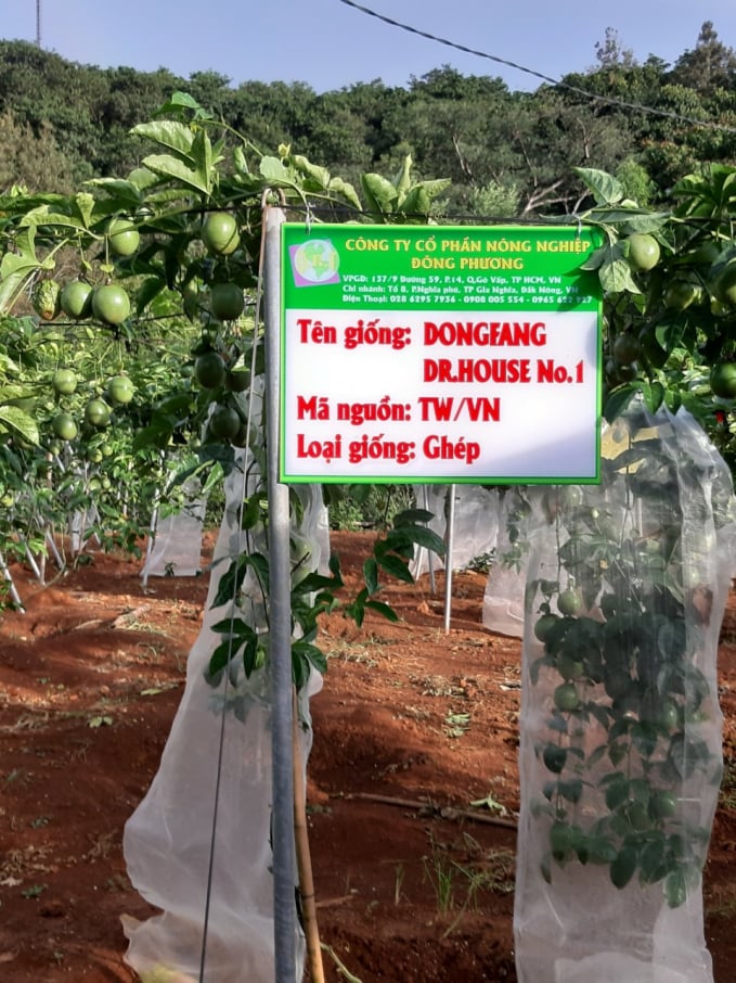 seedling-vietnam--mot-dia-chi-tao-giong-cay-tin-cay-100851_20210330_111.jpg
