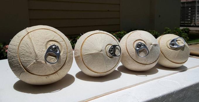 Vietnam’s fresh coconut is one among 5 fruits certified to export to South Korea.