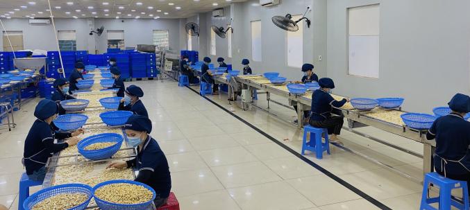 Cao Phat Co., Ltd. maintains production during the Covid-19 pandemic wave.