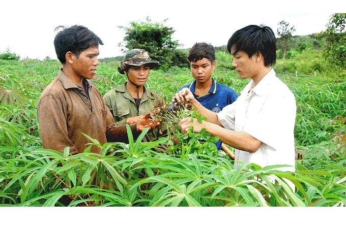 Muốn 'khuyến nông' nhanh hiệu quả, phải gắn với vùng nguyên liệu lớn