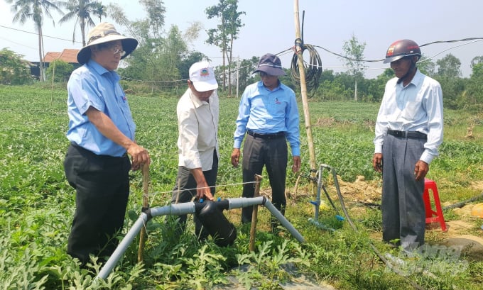 3-091529_66.jpg Bằng hệ thống tưới nhỏ giọt sử dụng phân Premium Fertilizer, cây trồng hấp thu hiệu quả được các chất dinh dưỡng, tránh lãng phí. Ảnh: L.K.