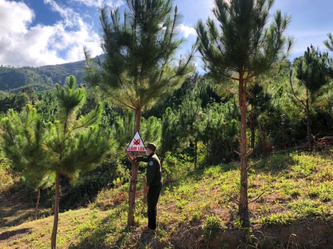 Huyện Kon Rẫy đặt biển báo phòng chống cháy rừng. 