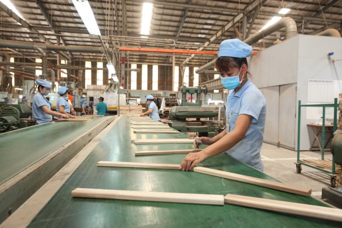 Export of forest products has made an important contribution to the agricultural sector in the first six months of 2021. Photo: TL.