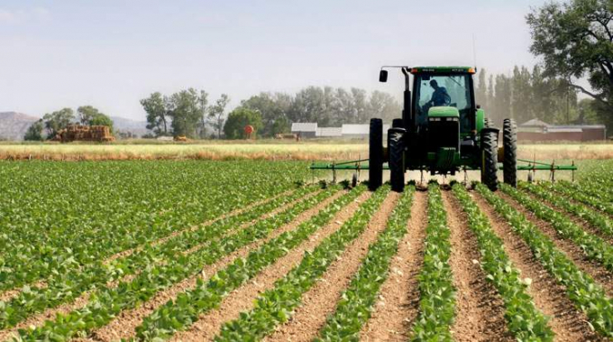 The proposed regulation adopts the technique of post-investment interest rate assistance to promote synchronous mechanization investment projects. Photo: TL.