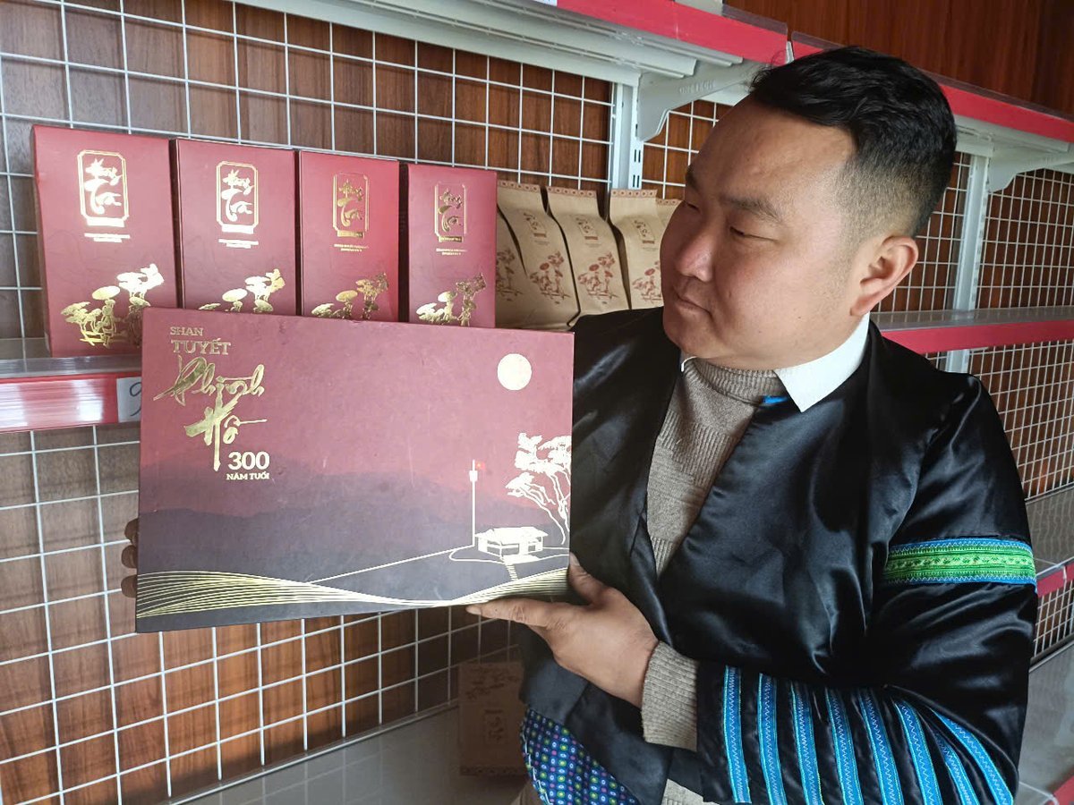HTX Tra Shan Tuyet Phinh Ho has produced several tea products that meet the OCOP standards. Photo: Thanh Tien.