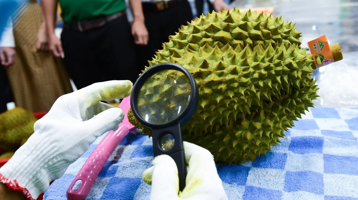 Agricultural products and food imported into the EU may be required to meet higher standards regarding pesticide residue levels. Photo: Tung Dinh.