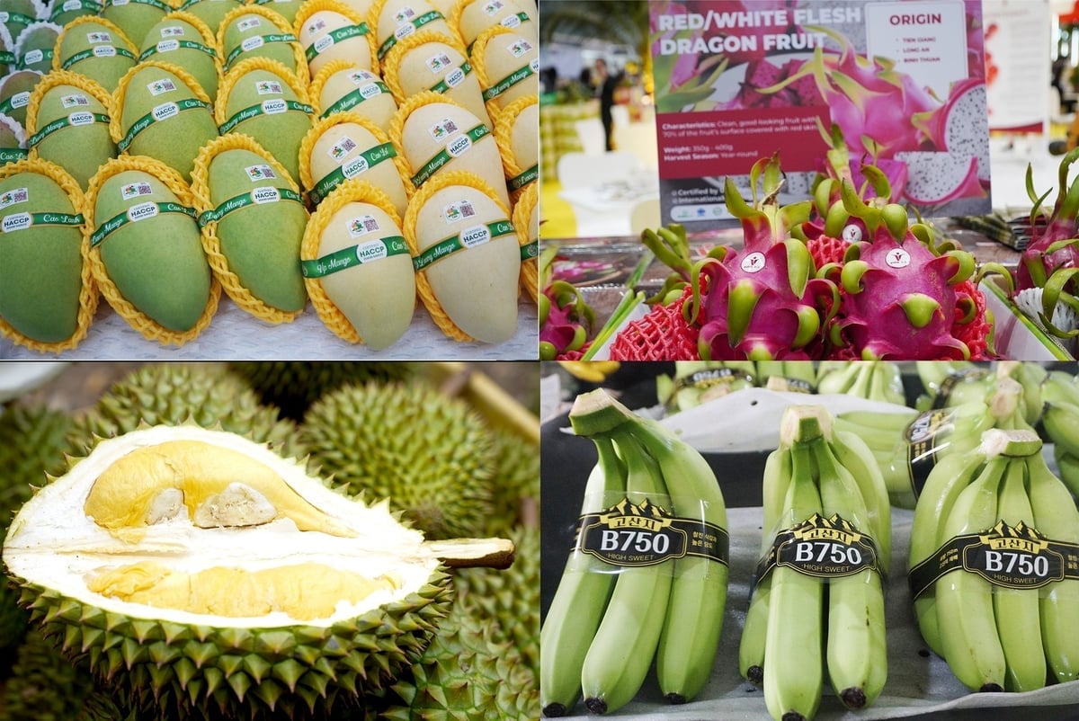 Vietnam has many competitive products suitable for export to the Middle Eastern market. Photo: Nguyen Thuy.