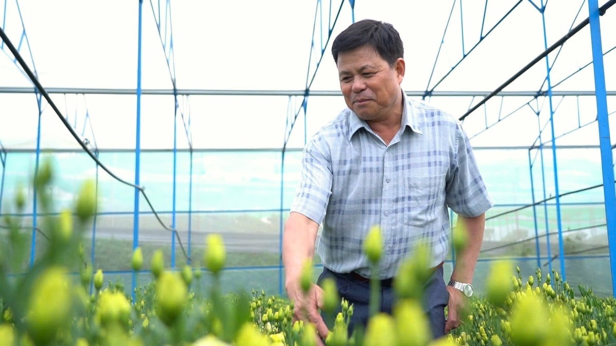 Da Lat farmers in a lisianthus flower garden nearing harvest. Photo: CropLife Vietnam.