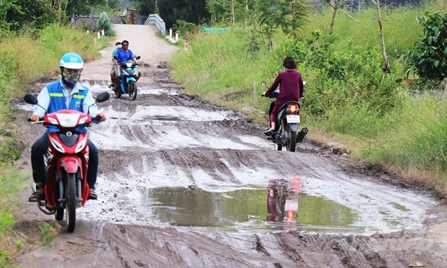 z2352997707750_20c4ffc9e3312ea39c6765d6710a06e4-062803_819.jpg Dự án xây dựng đường đê Đông - đê Trường Sơn (thuộc địa phận xã Vĩnh Thịnh, huyện Hòa Bình, tỉnh Bạc Liêu) do công ty Minh Cường thi công trước đó. Ảnh: Trọng Linh.