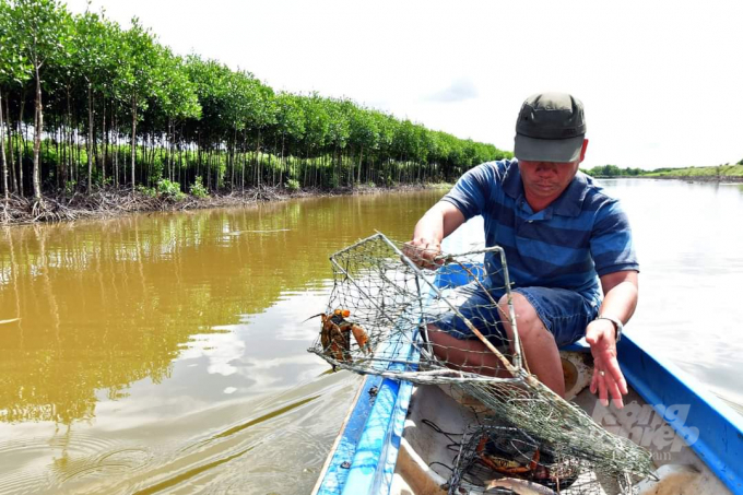 z2976760227190_d52599c615f779f4b03455b6e59df517-122155_784.jpg Mô hình nuôi thủy sản dưới tán rừng ngập mặn tại Cà Mau. Ảnh: Trọng Linh.