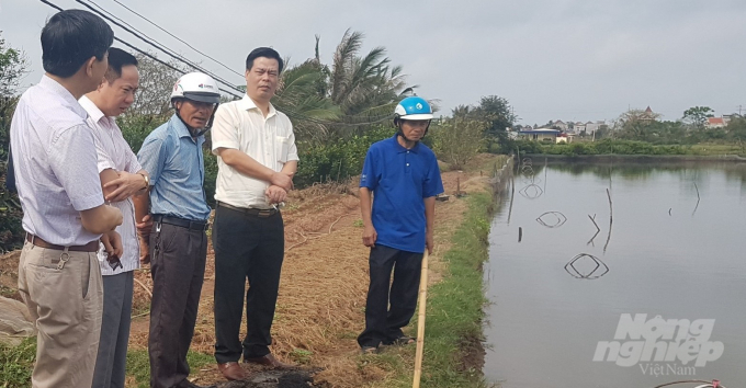 30c89b0a0acff091a9de-162540_135.jpeg Ông Phạm Văn Thép (thứ 2 từ phải sang), GĐ Sở NN-PTNT Hải Phòng kiểm tra tình hình dịch bệnh thủy sản ở Tân Thành, Dương Kinh. Ảnh: Đinh Mười.