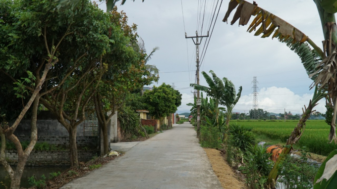 ntm1-132203_88.jpg Giao thông nông thôn tại xã Quốc Tuấn, huyện An Lão. Ảnh: Đinh Mười.