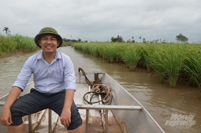 tran-van-trung-172348_144.jpeg Anh Trung phấn khởi trước cánh đồng lúa chất lượng cao ở Hải Phòng. Ảnh: Dương Đình Tường.